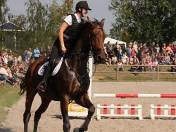 IMG_0903_web